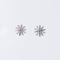 Zircon Star Studds